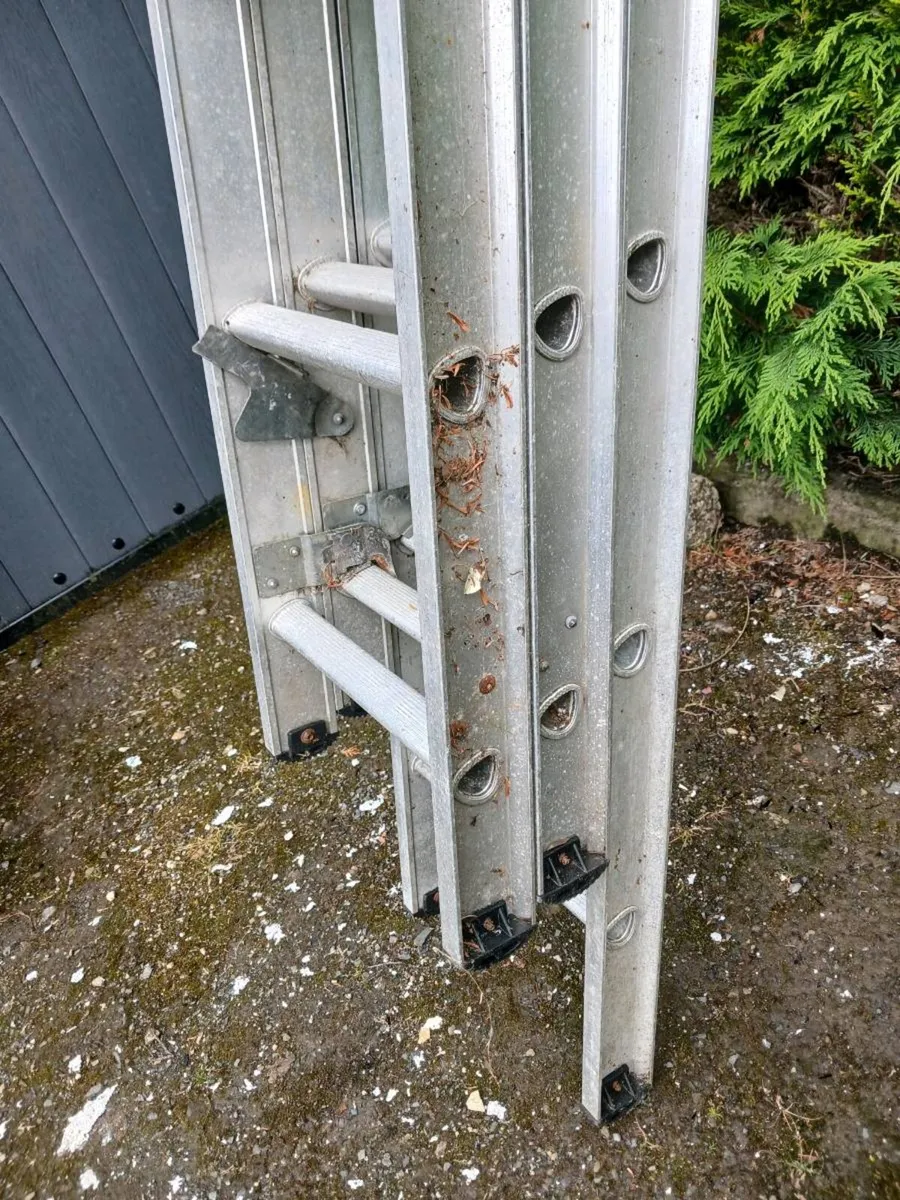 Extending ladder - Image 2