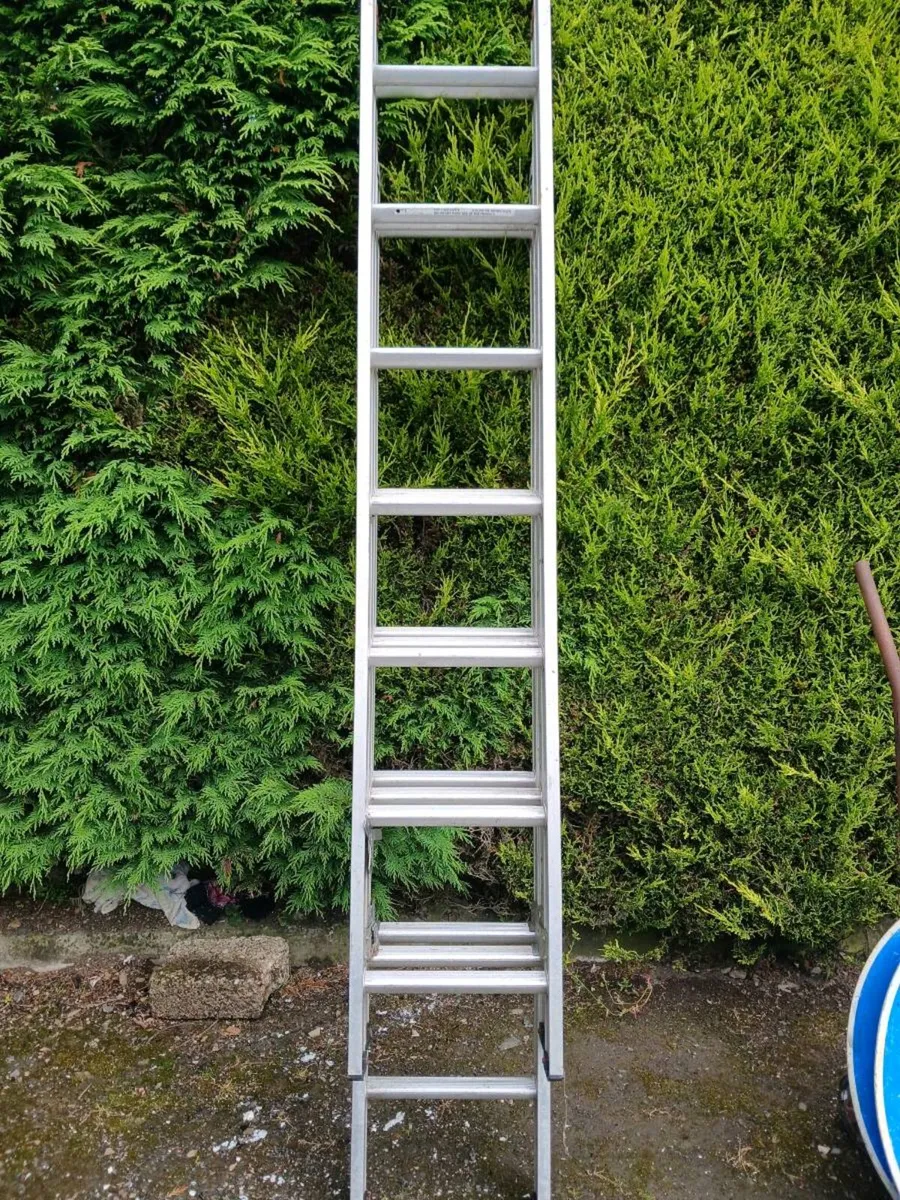 Extending ladder - Image 3