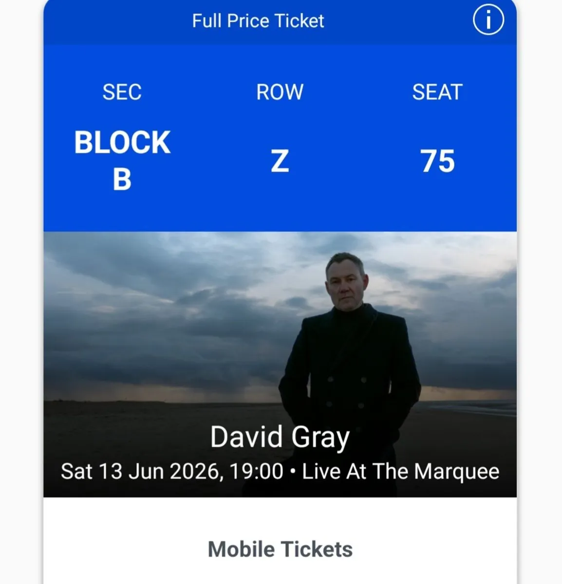 David Gray, Live at the Marquee, Sat 13th June - Image 4
