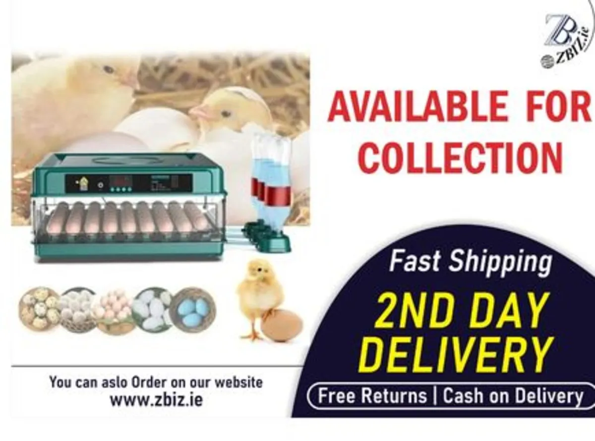 Egg Incubator 36 Egg Automatic Hatch Machine - Image 1