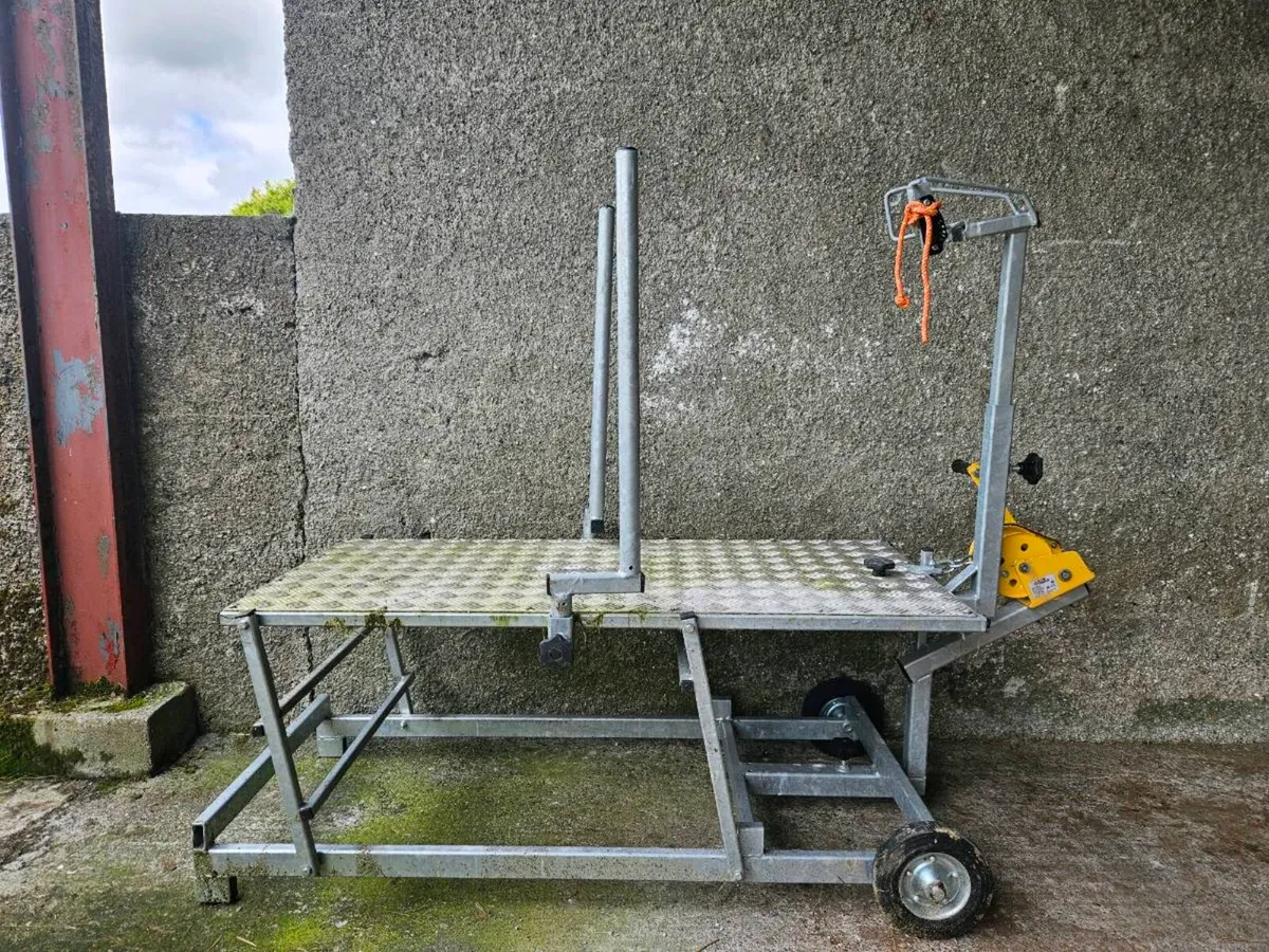 Sheep Dressing Stand - Image 2