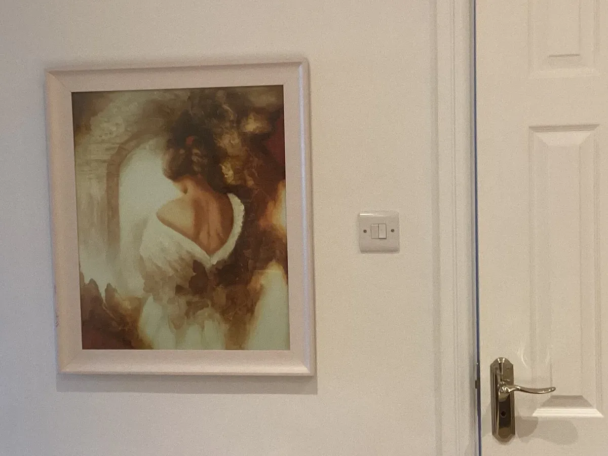 Framed Art - Image 1