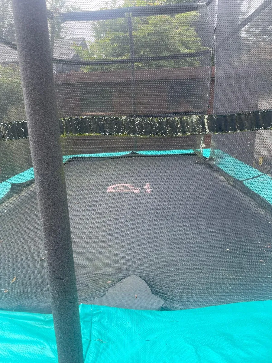 Trampoline - Image 3