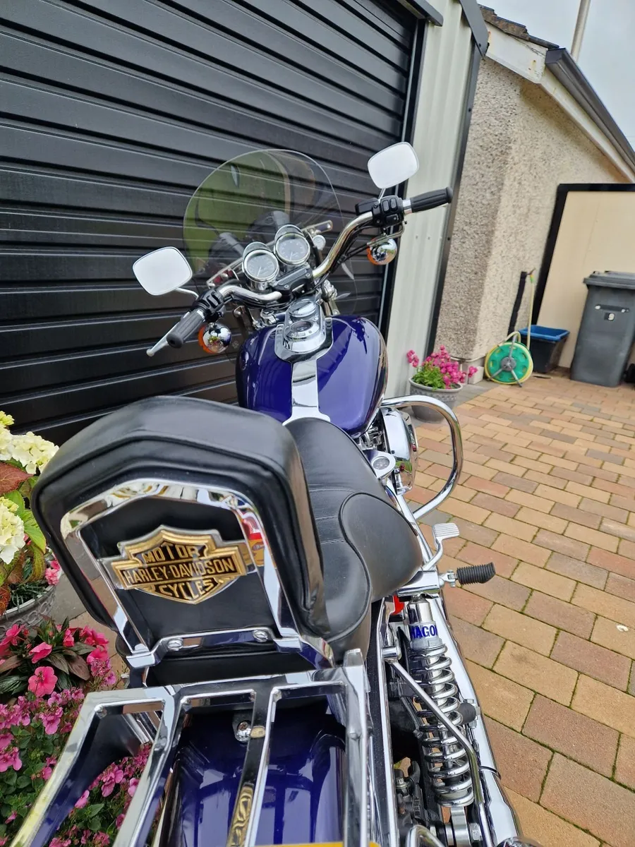HARLEY DAVIDSON FXD 2000 - Image 2