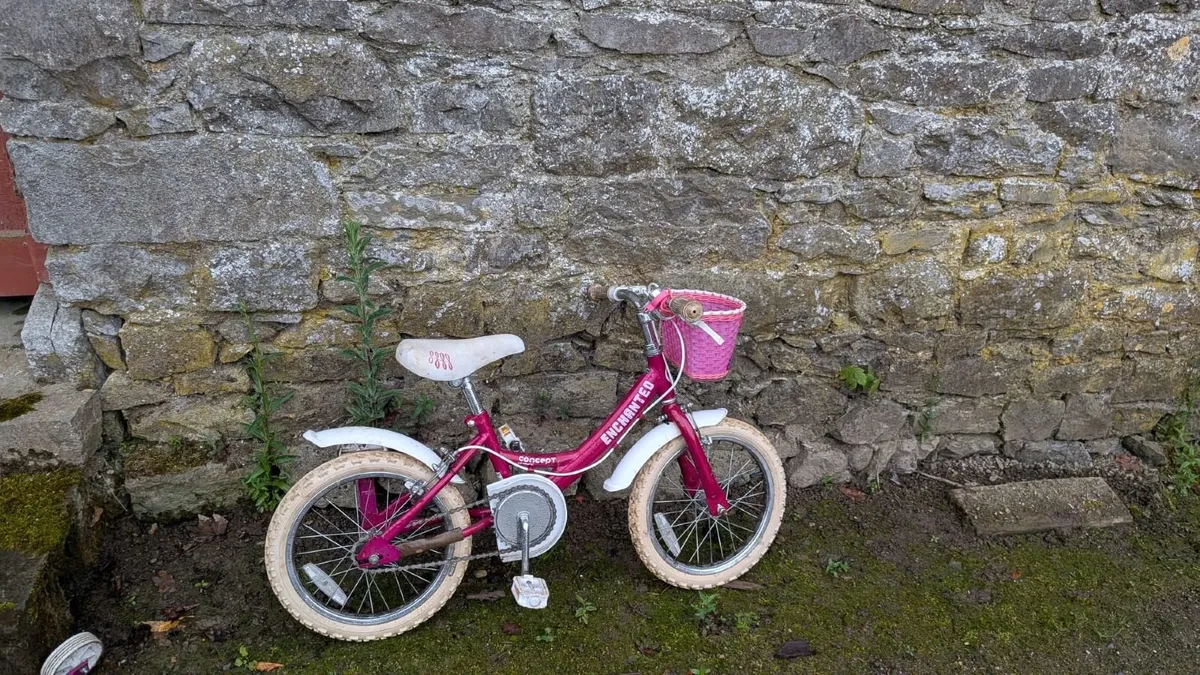 Kids bike - Image 1
