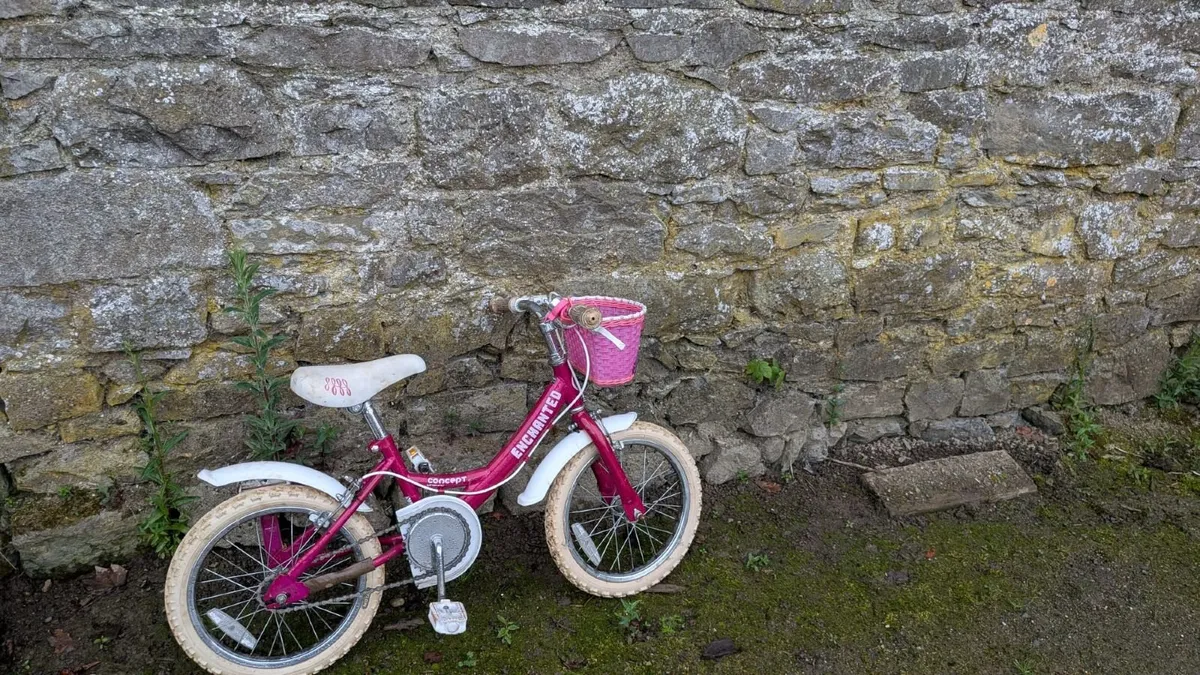 Kids bike - Image 2