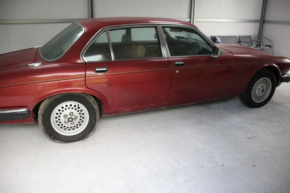 Jaguar XJ 1983 - Image 3