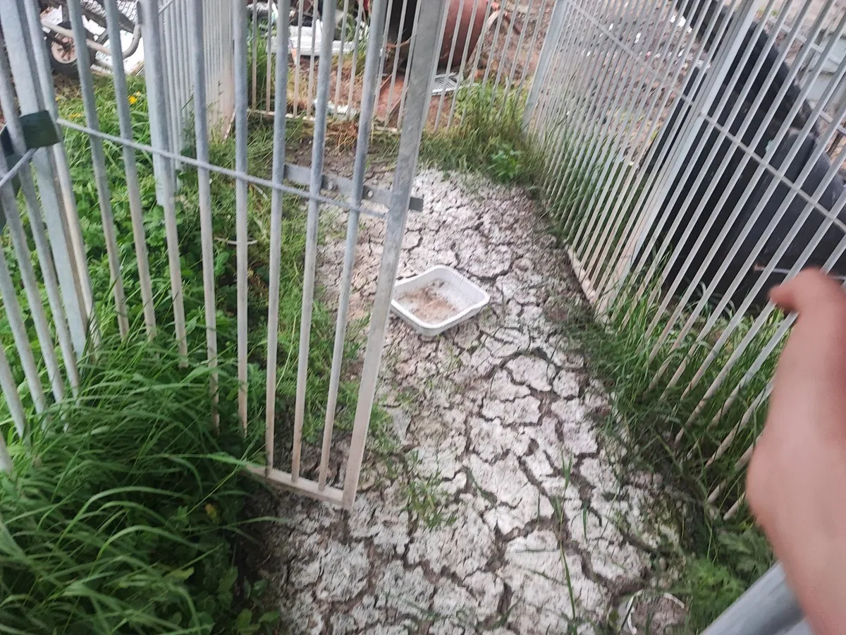 Dog Pen - Image 3
