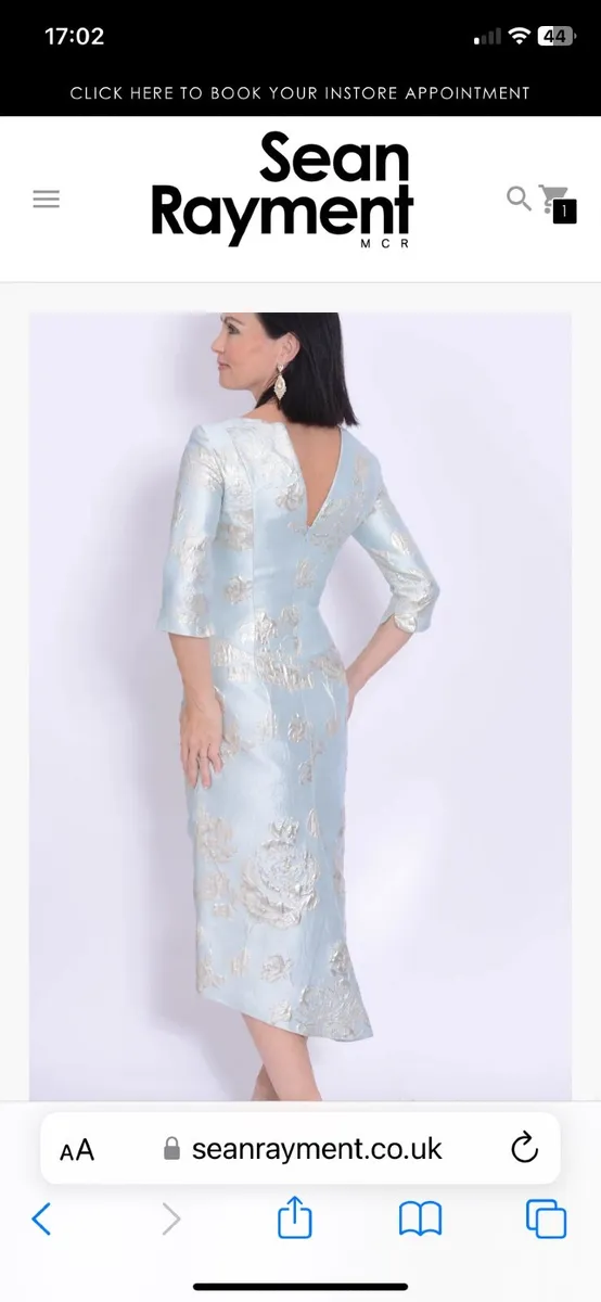 Mother of the Bride Dress - Image 1