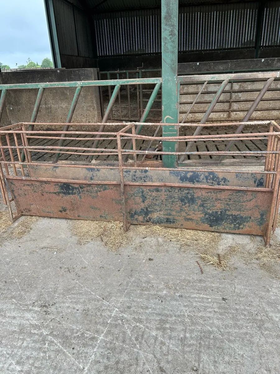 Lamb scales & footbath - Image 4