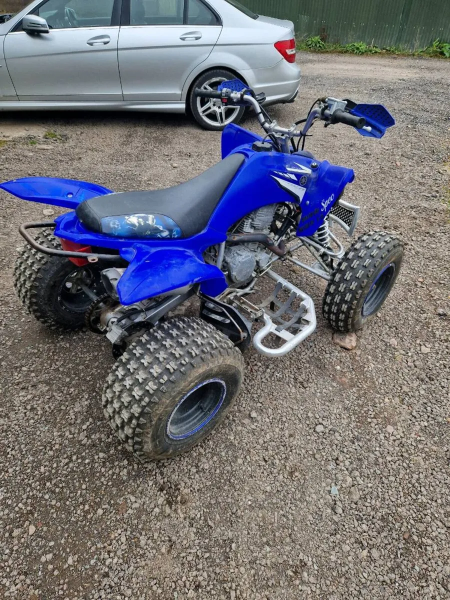 Yamaha Raptor 250 - Image 2