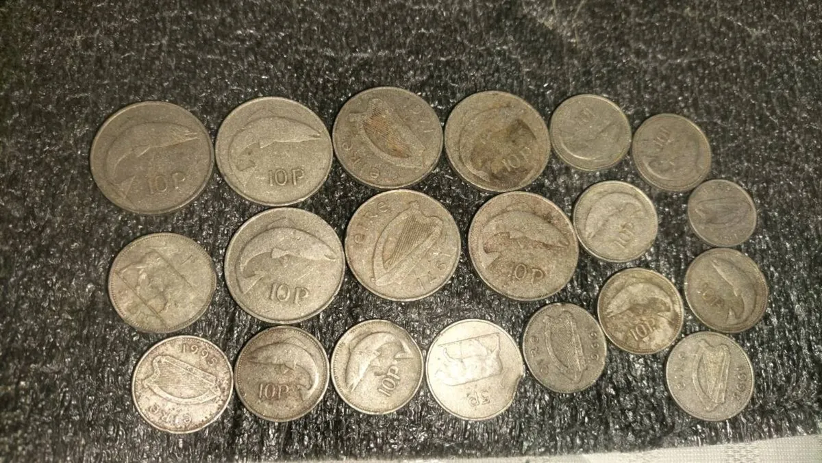 20 IRIS CIONS FOR SALE.. 10P