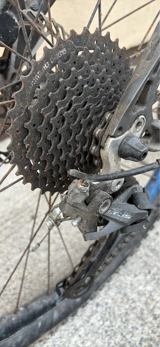 Voodoo Bantu (Needs work) - Image 4
