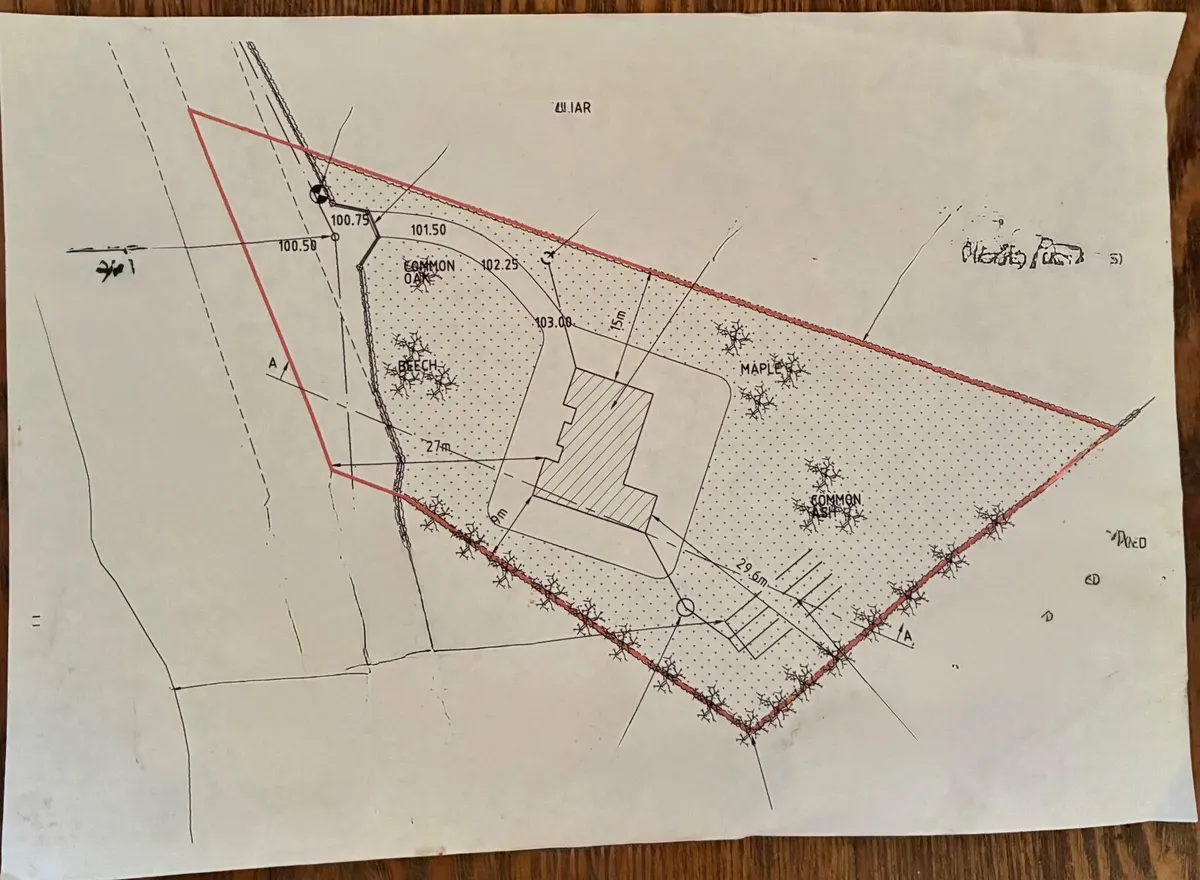 Site - Image 4