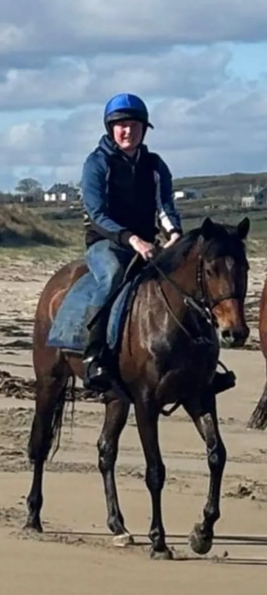 5 year old Mare - Image 4