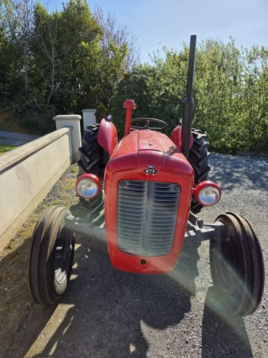 Massey Ferguson 35 1969 - Image 2