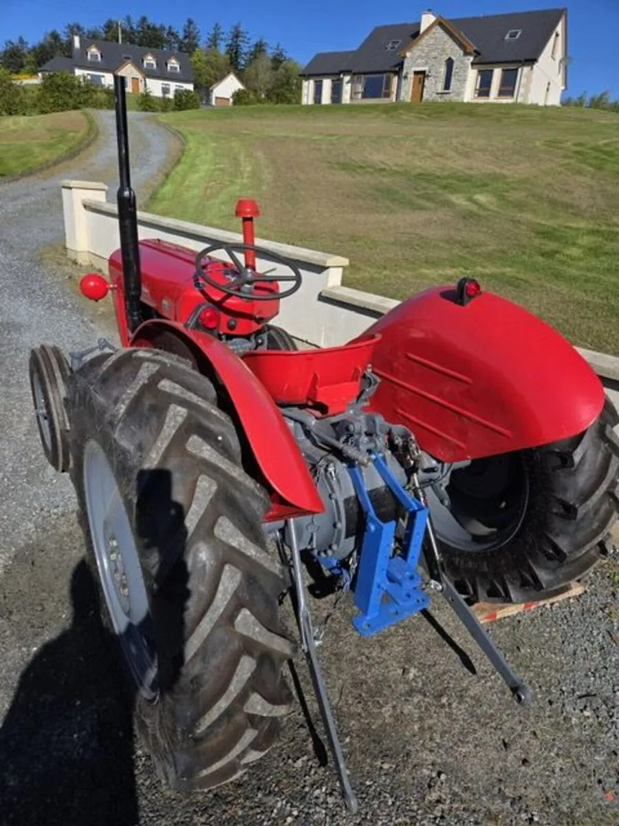 Massey Ferguson 35 1969 - Image 4