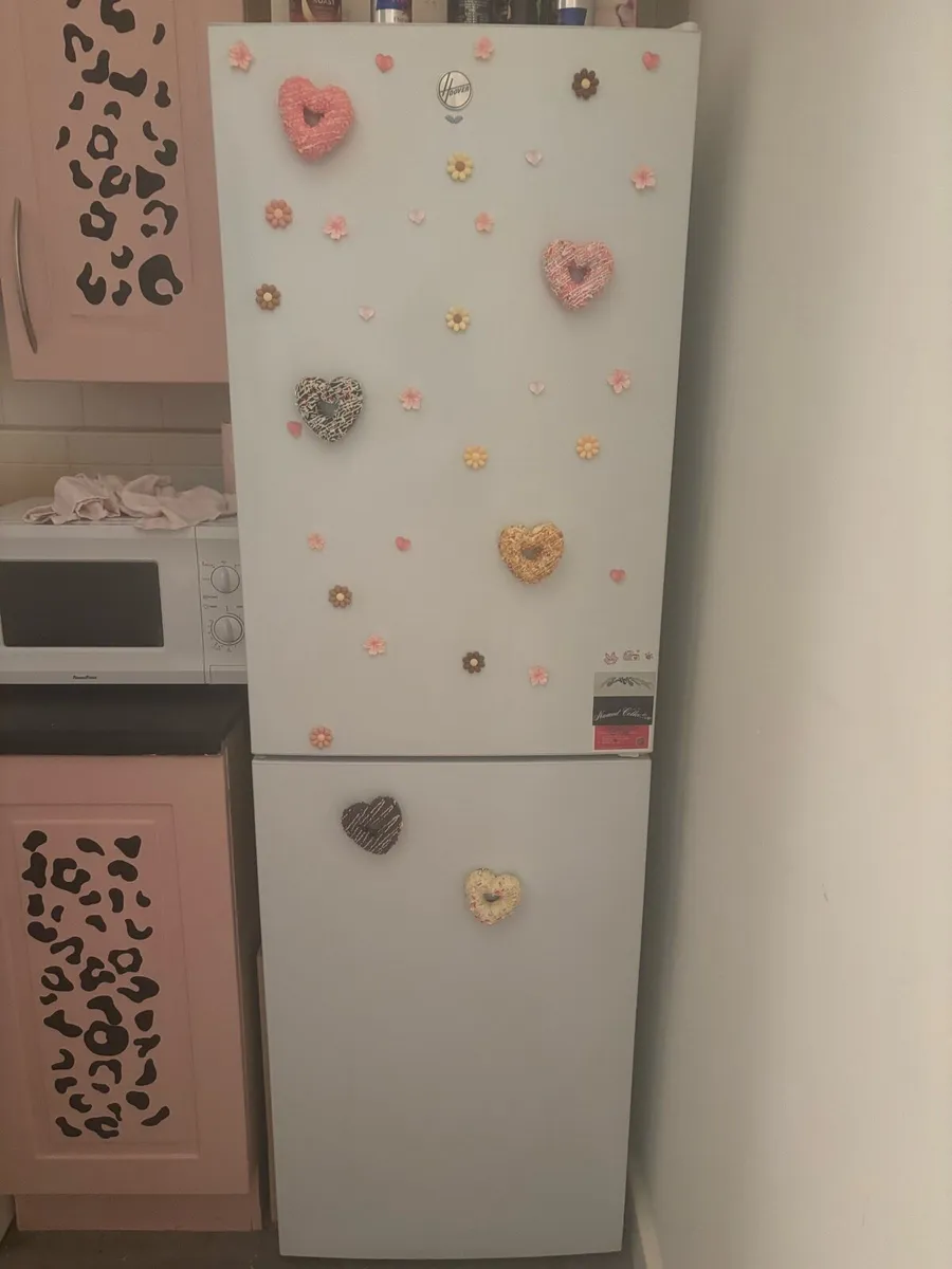 Fridge - Image 1