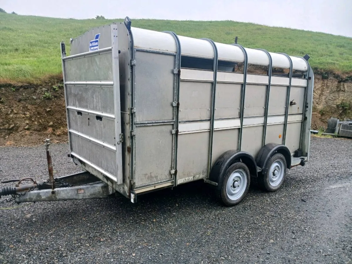 IFVOR WILLIAMS CATTLE TRAILER - Image 2