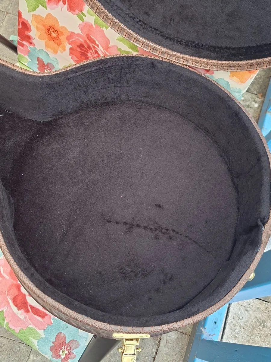 Banjo case - Image 3