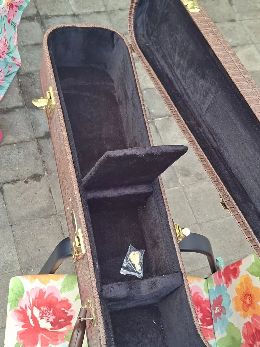Banjo case - Image 4