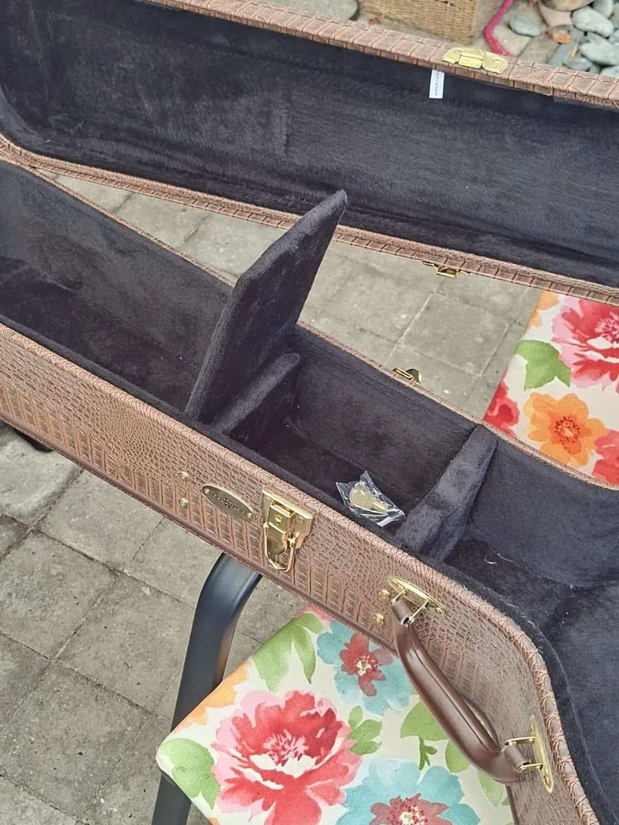 Banjo case - Image 4