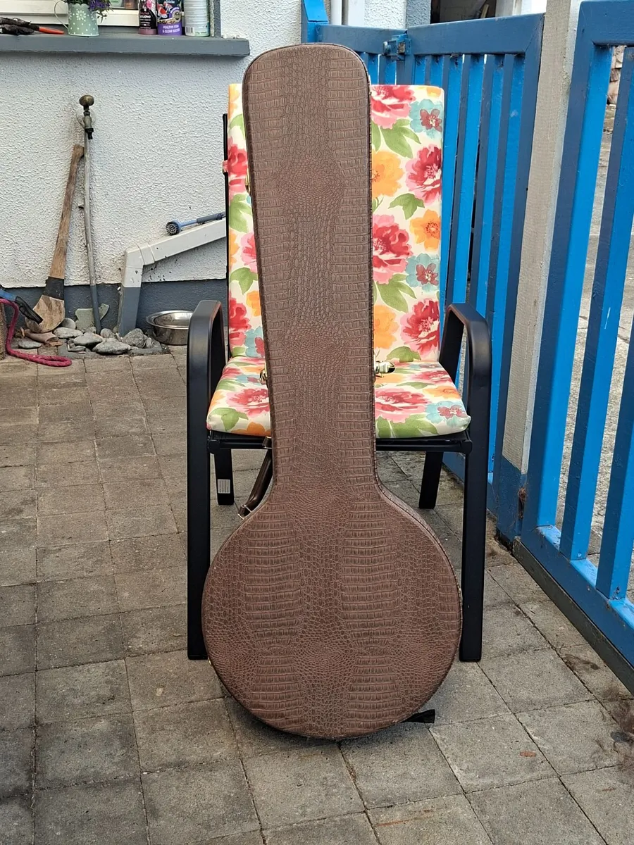 Banjo case - Image 2