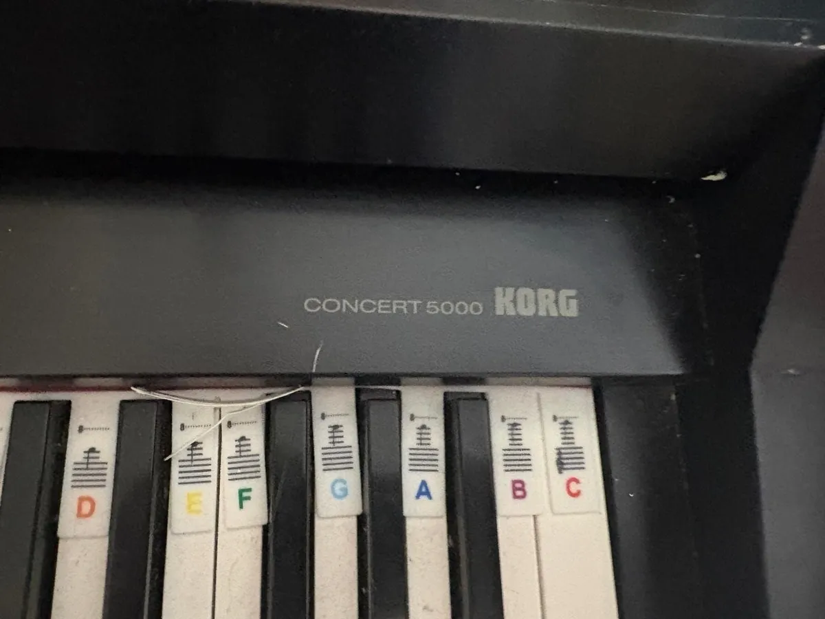 Korg Digital Piano - Concert 5000 - Image 3