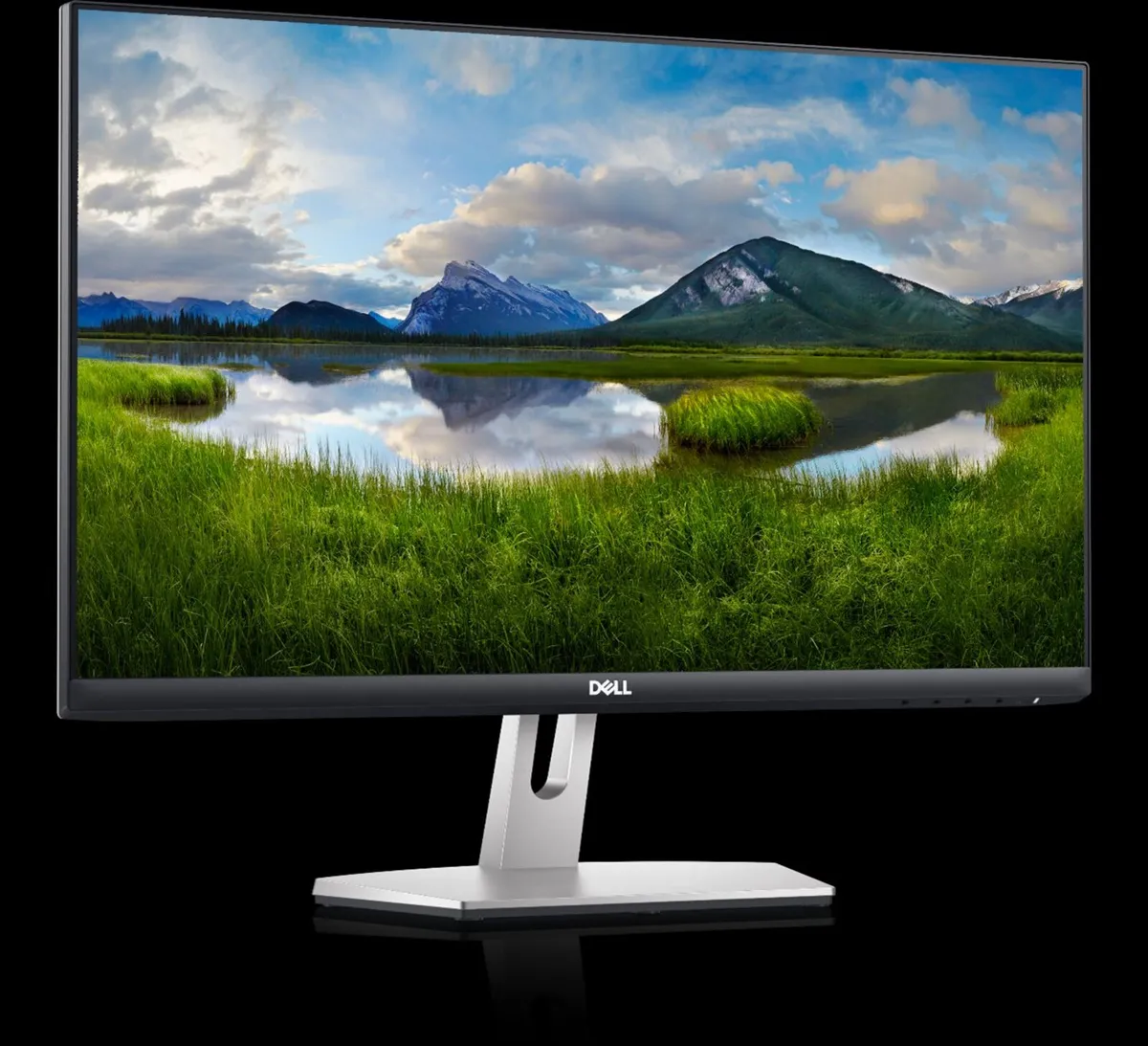 Dell S2421HN 24 monitor