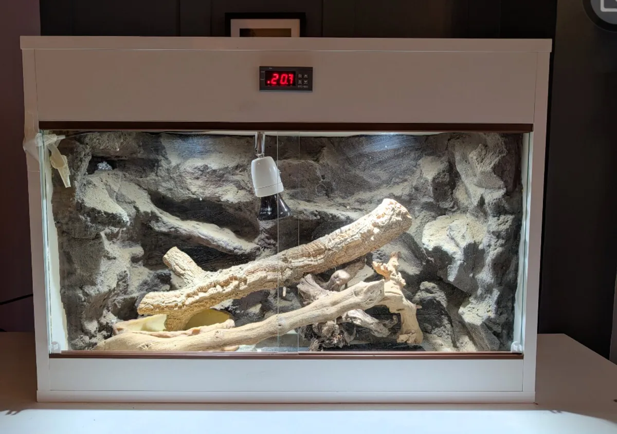 Custom made lizard tank - Image 1