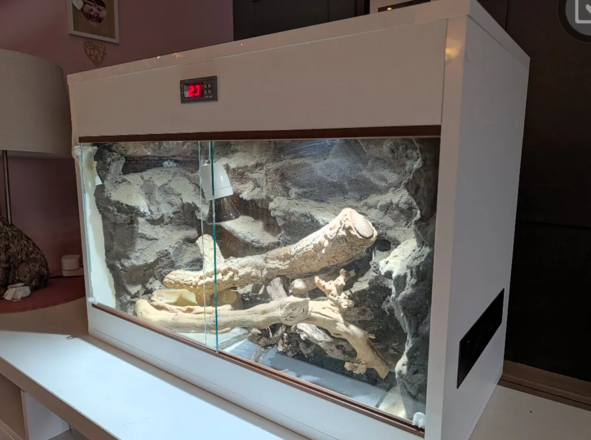 Custom made lizard tank - Image 2