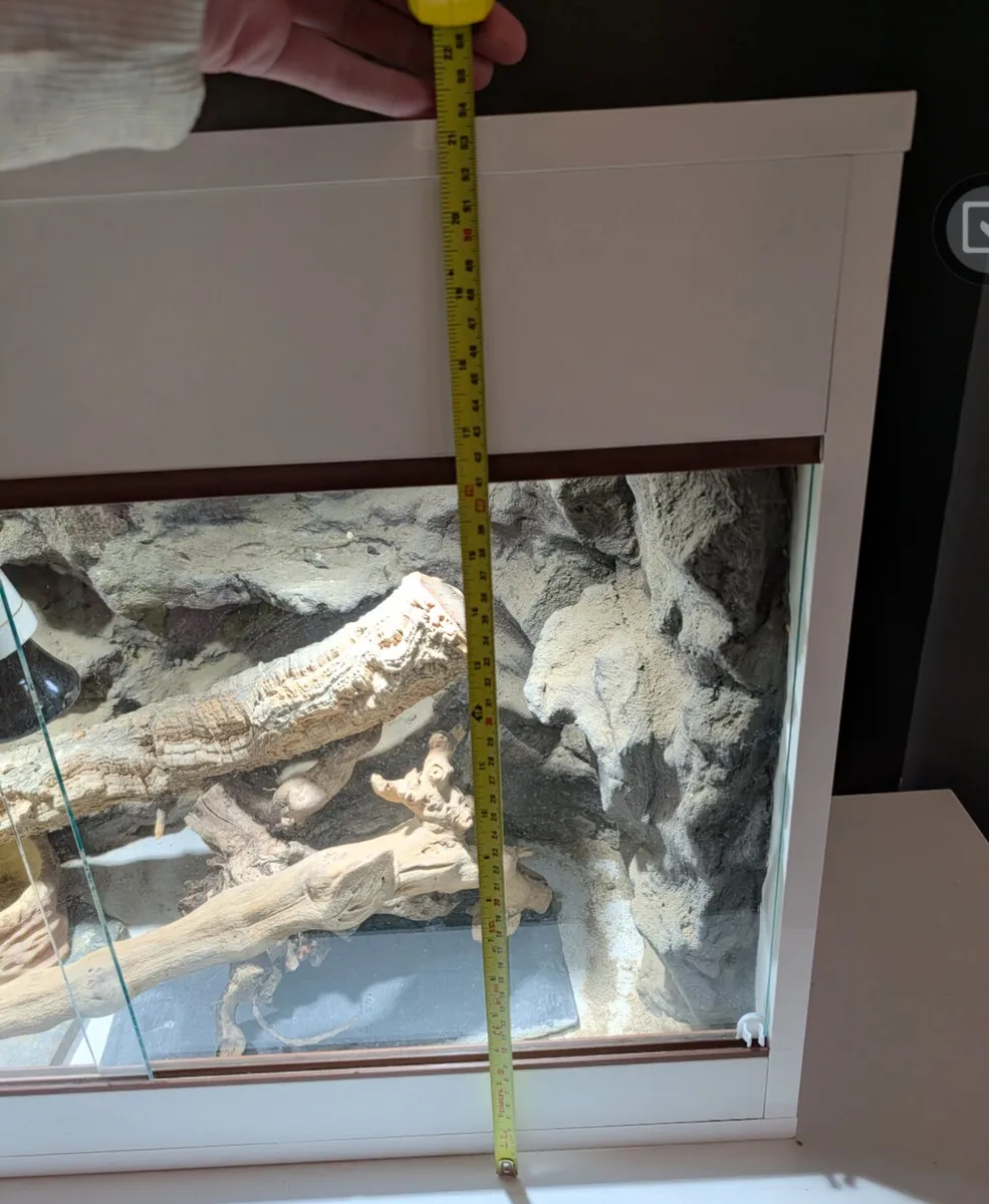 Custom made lizard tank - Image 3