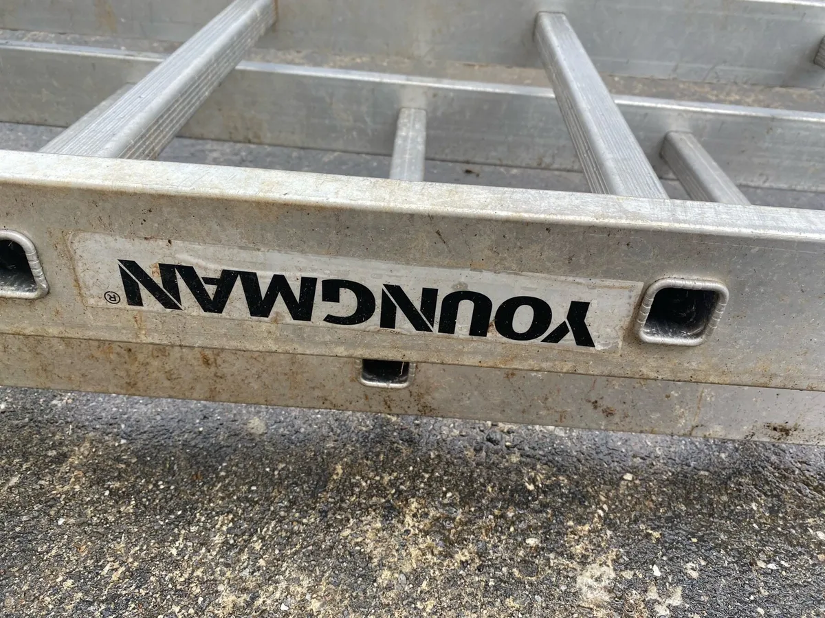 Aluminium ladder - Image 2