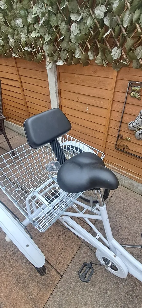 Tricycle push bike - Image 3