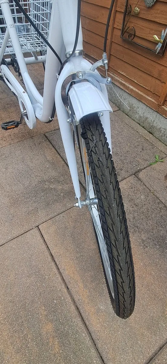 Tricycle push bike - Image 4