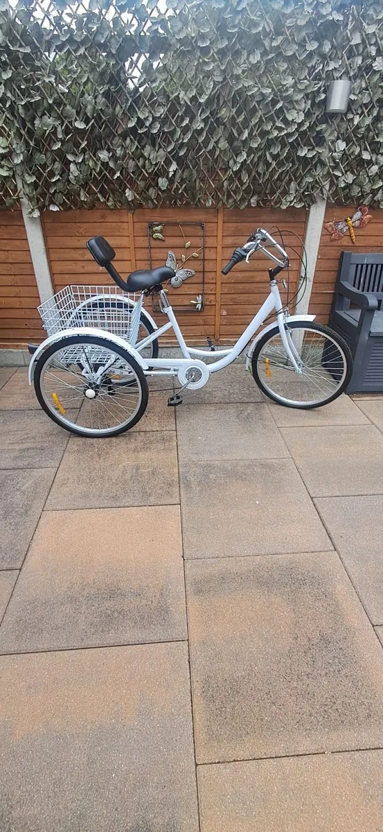 Tricycle push bike - Image 1