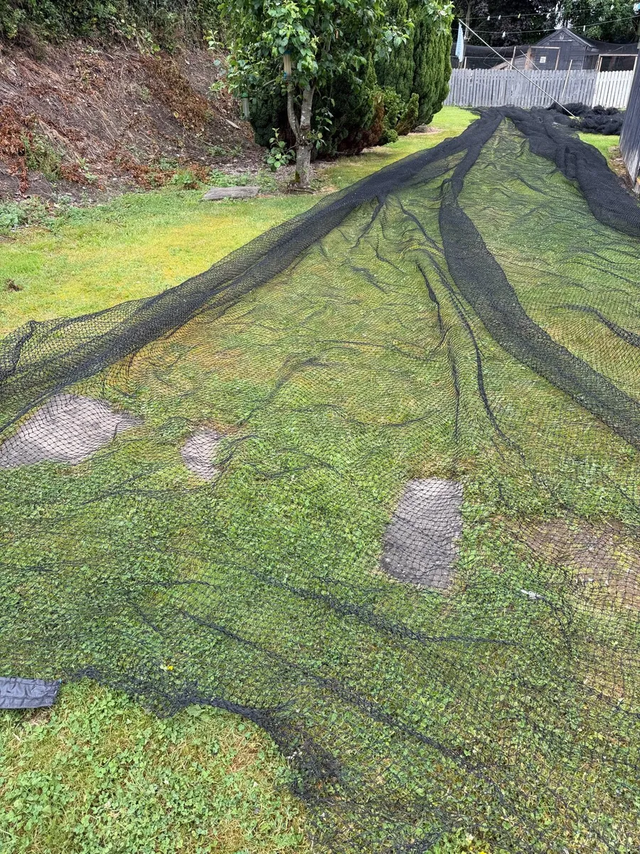 Nylon mesh - Image 1