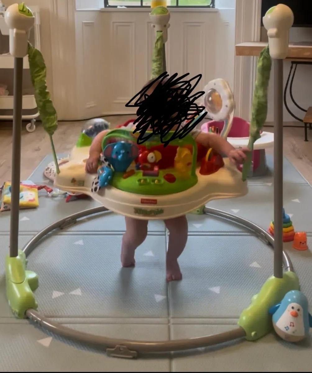 Baby bouncer
