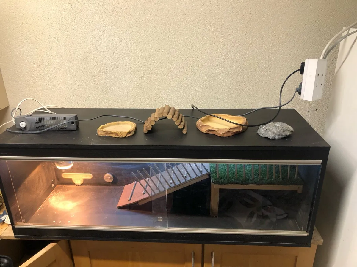 Reptile tanks - Image 2