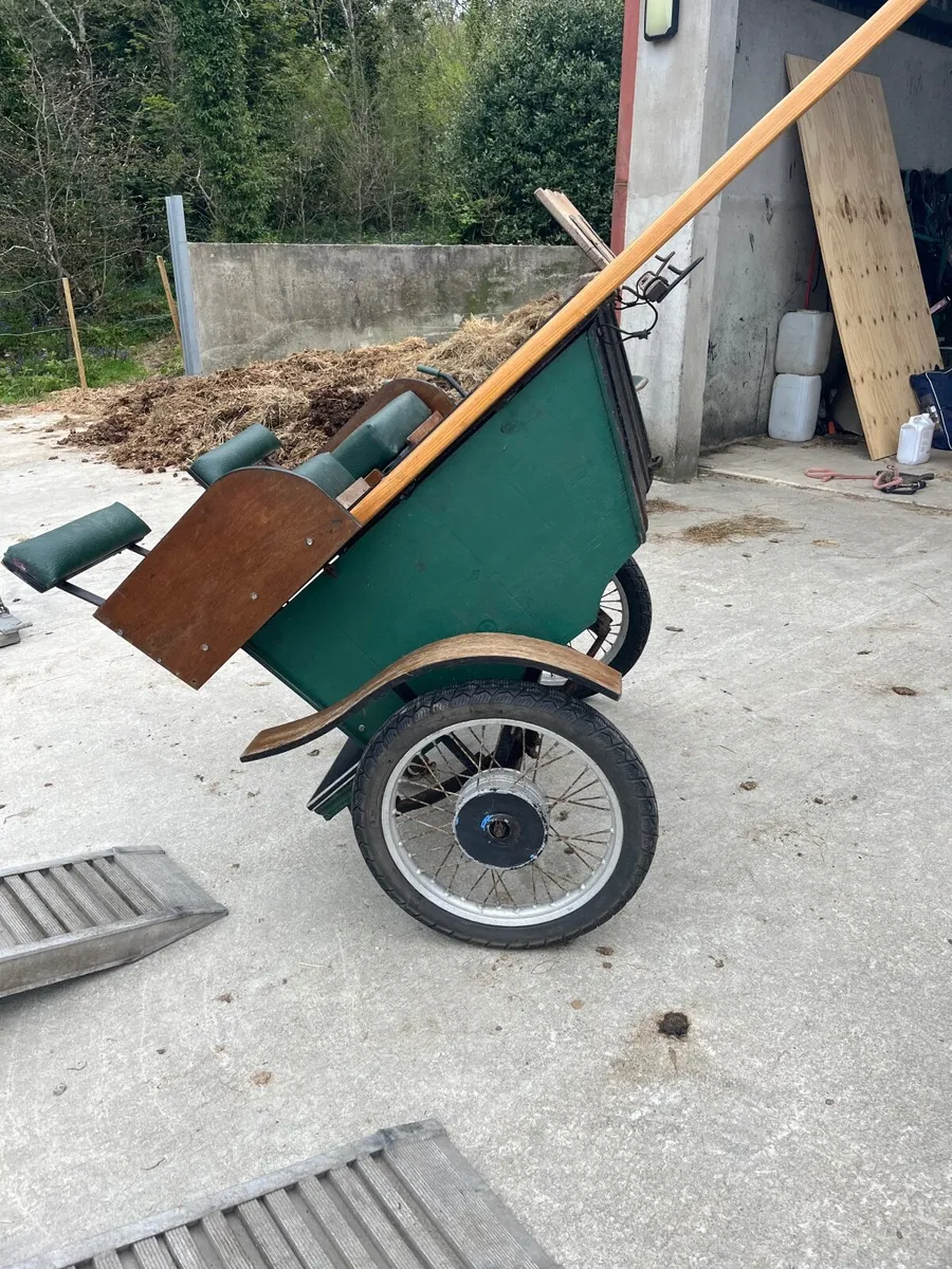 Pony Trap - Image 2