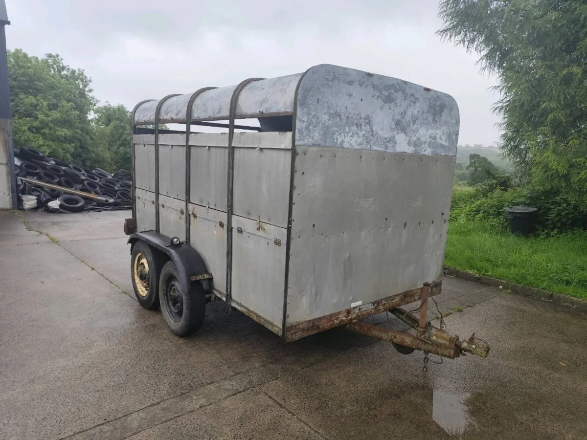 Cattle Trailer - Image 1