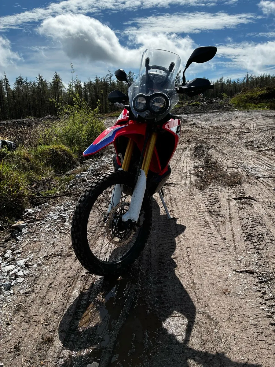 Honda CRF 250 Rally - Image 2