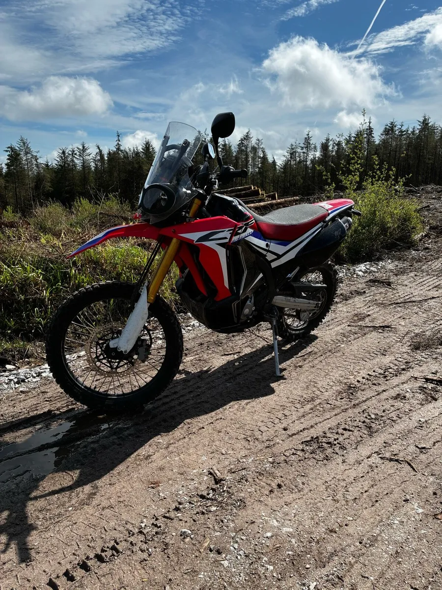 Honda CRF 250 Rally - Image 3