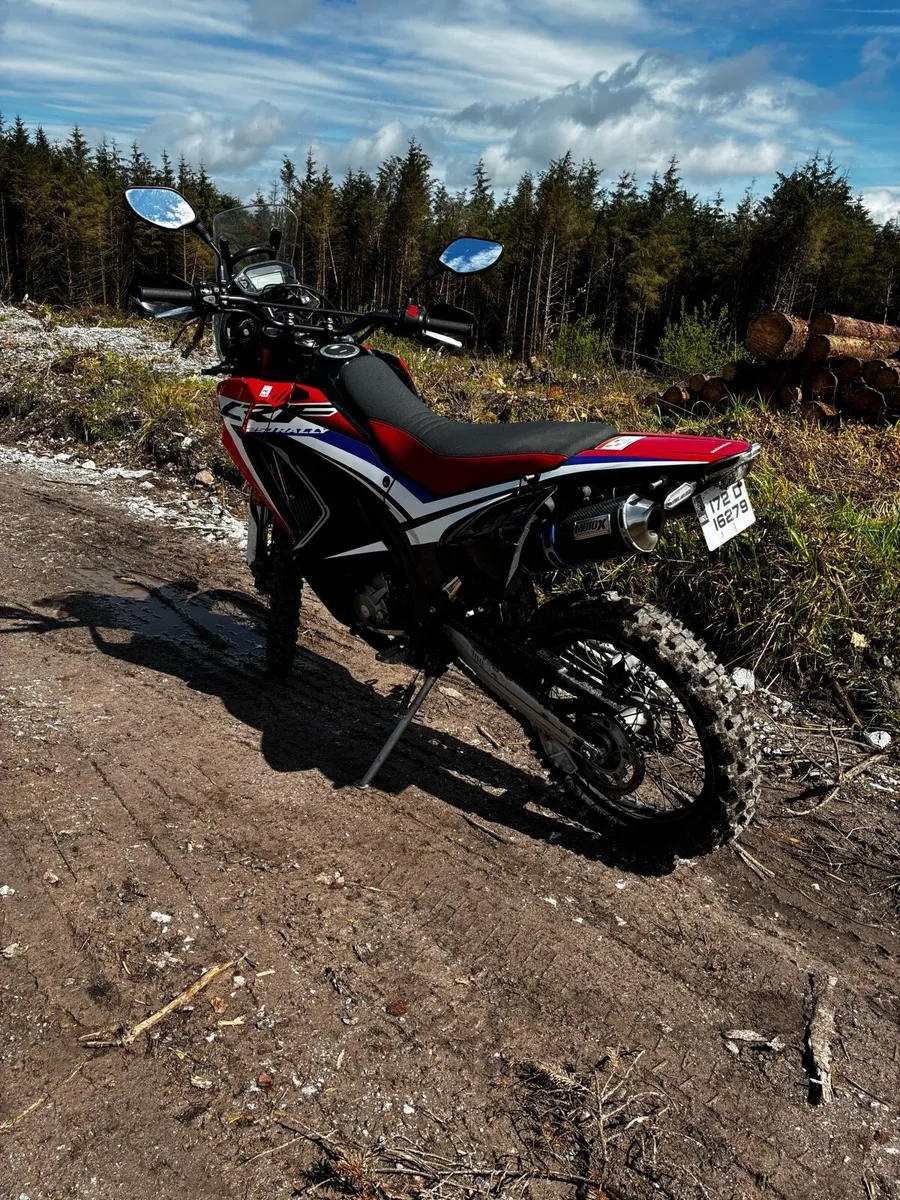 Honda CRF 250 Rally - Image 4