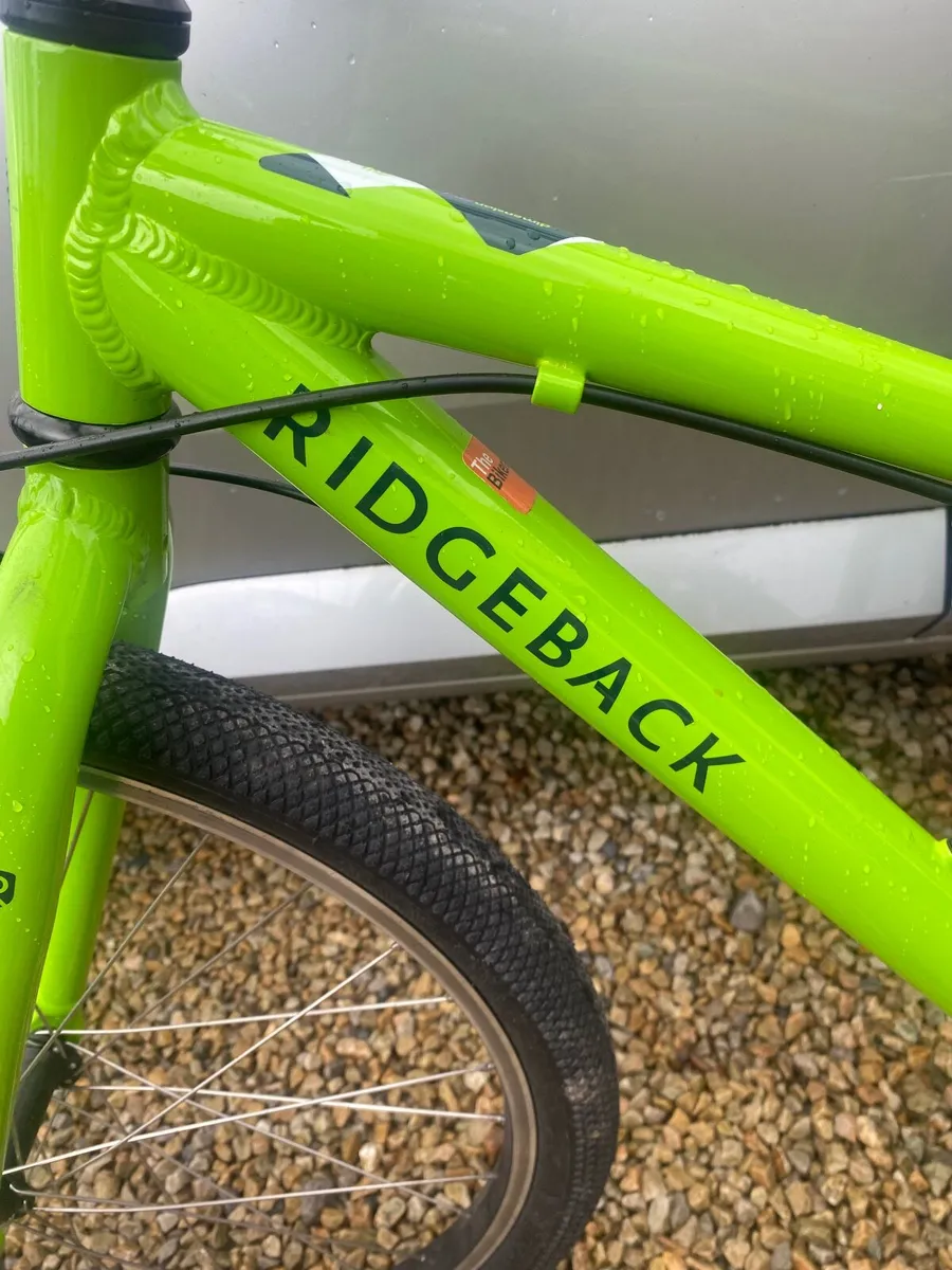 Kids 24" Ridgeback Bike - Image 2