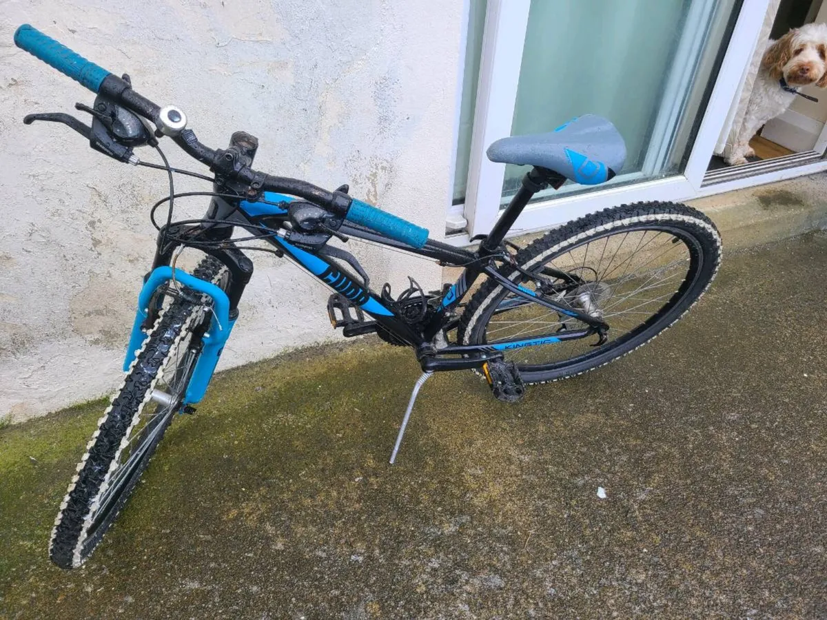 Bicycle - Image 2