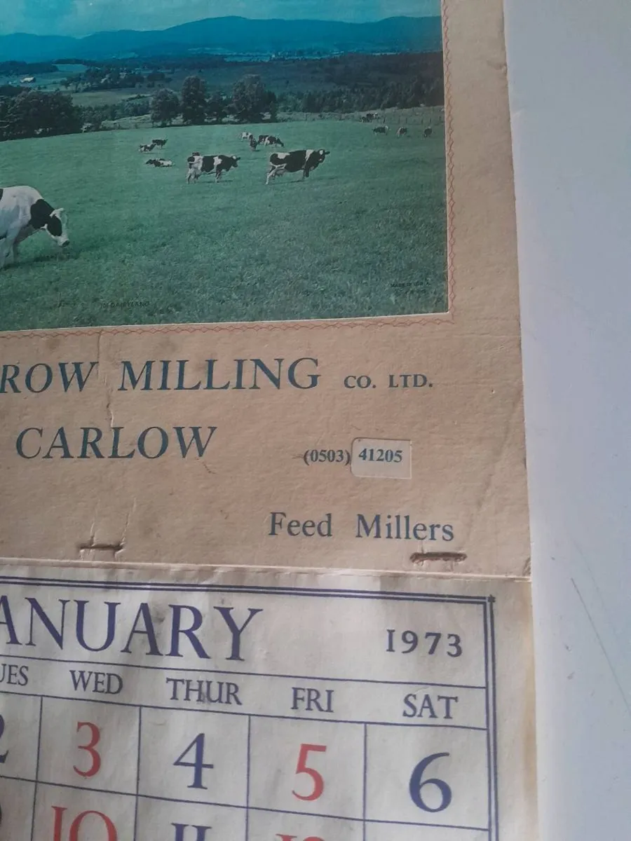 1973 barrow milling carlow calendar - Image 3