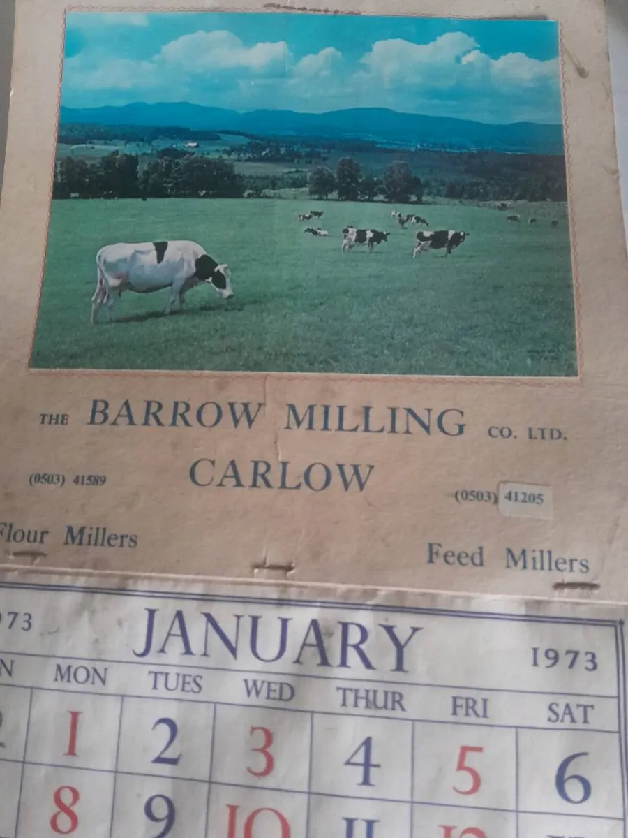 1973 barrow milling carlow calendar - Image 1