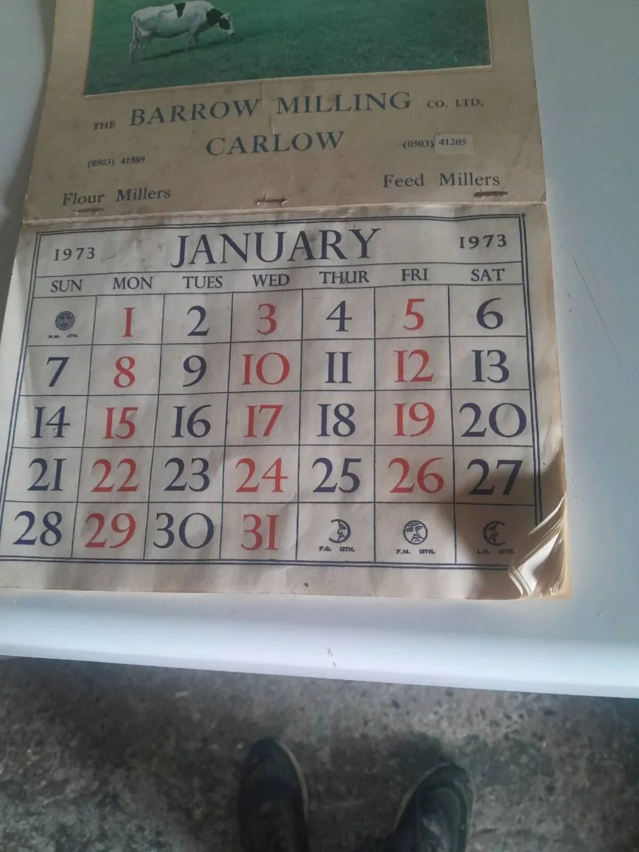 1973 barrow milling carlow calendar - Image 2