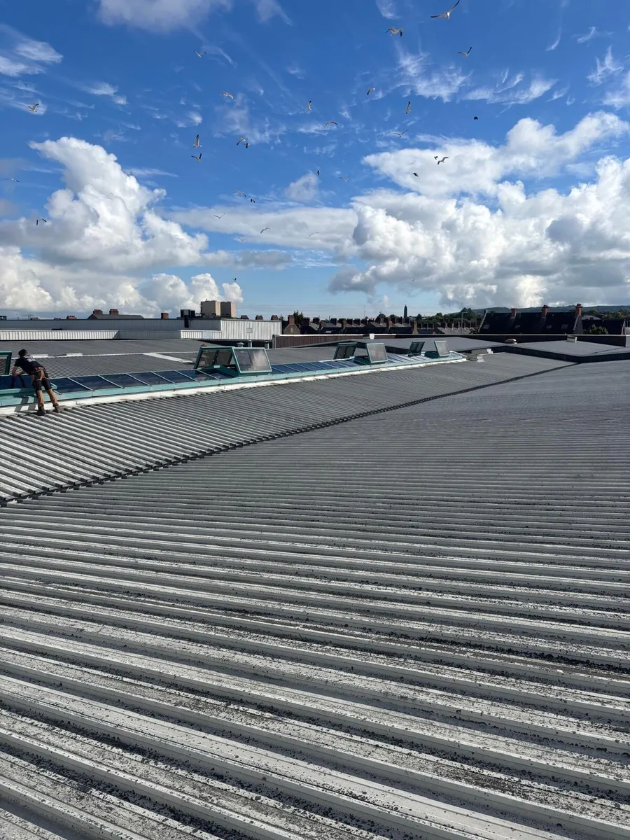 Roof cladding - Image 2